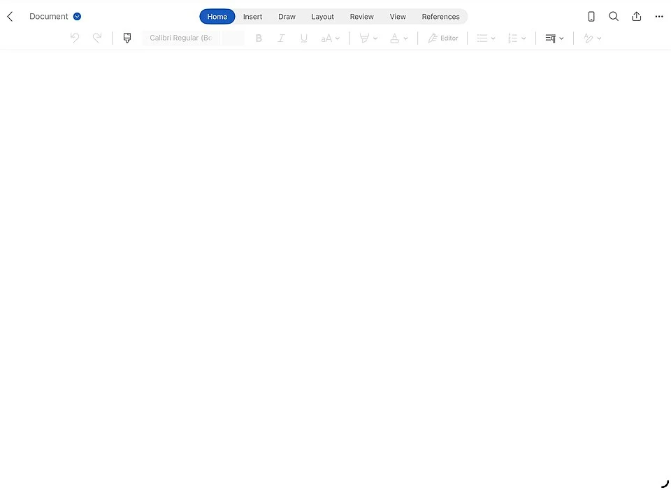 Microsoft Word screenshot