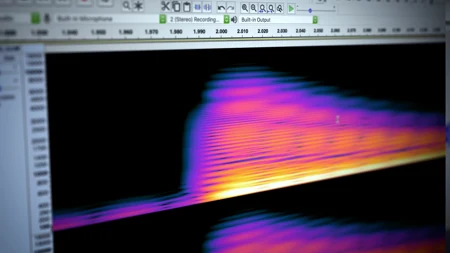 Audacity screenshot